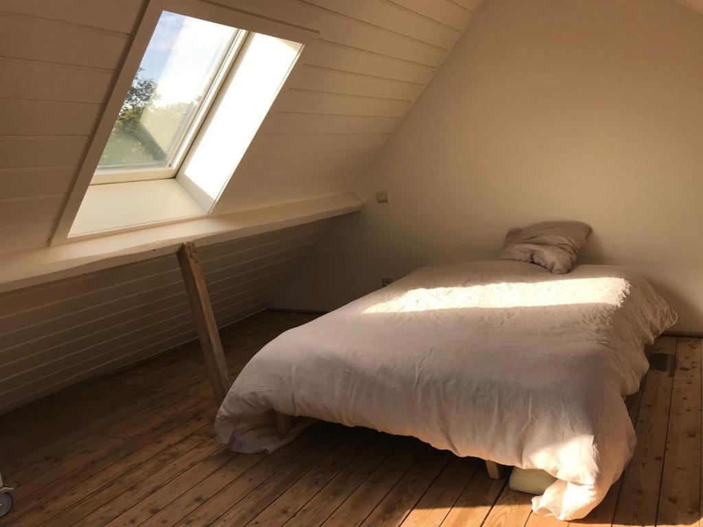 Studio Minerva Antwerpen Kültér fotó